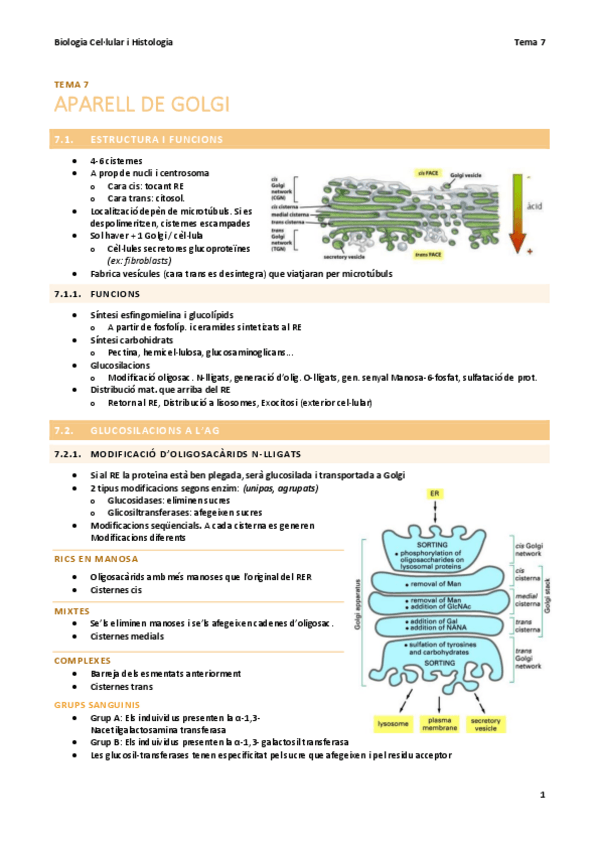 Miniatura del documento BC-T7-Aparell-de-Golgi.pdf