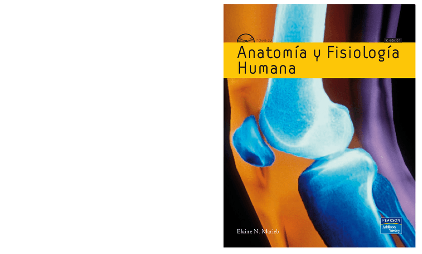 Miniatura del documento LIBRO-IFSSA-Anatomia.y.Fisiologia.Humana.Marieb-9aed.-1.pdf