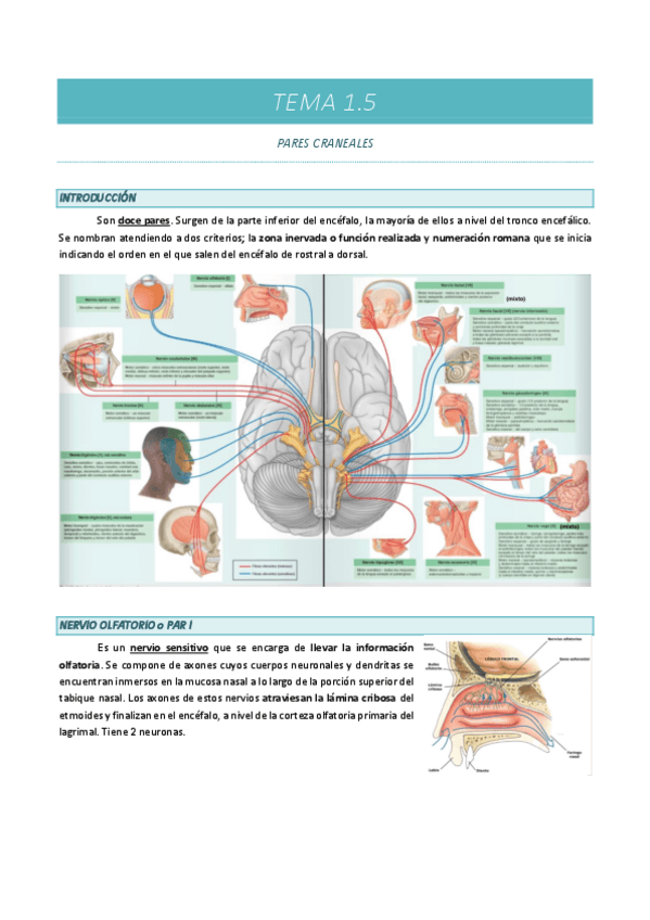 Miniatura del documento TEMA-1.5.pdf
