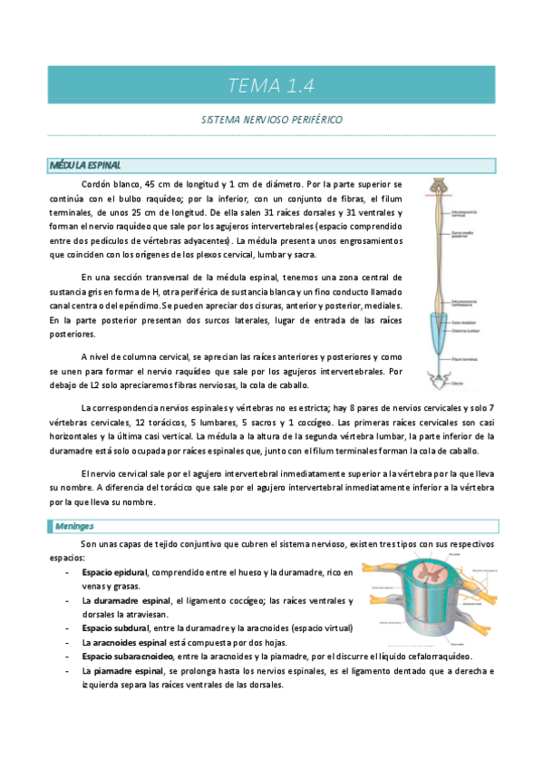 Miniatura del documento TEMA-1.4.pdf