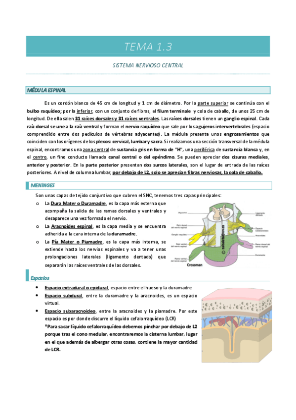 Miniatura del documento TEMA-1.3.pdf