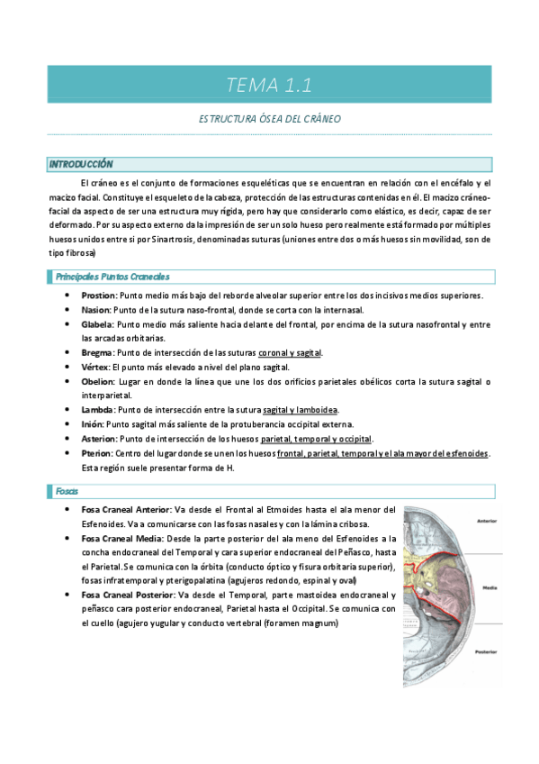 Miniatura del documento TEMA-1.1.pdf