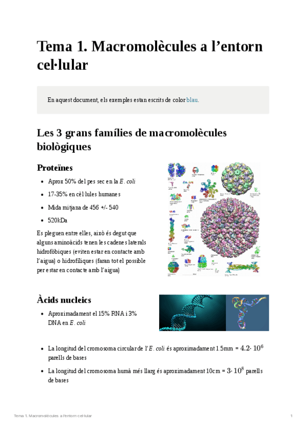 Miniatura del documento Tema-1Macromolecules-biologiques.pdf