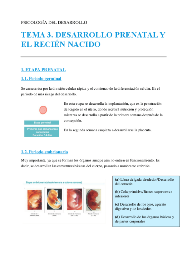 Miniatura del documento tema-3.-desarrollo-prenatal.pdf