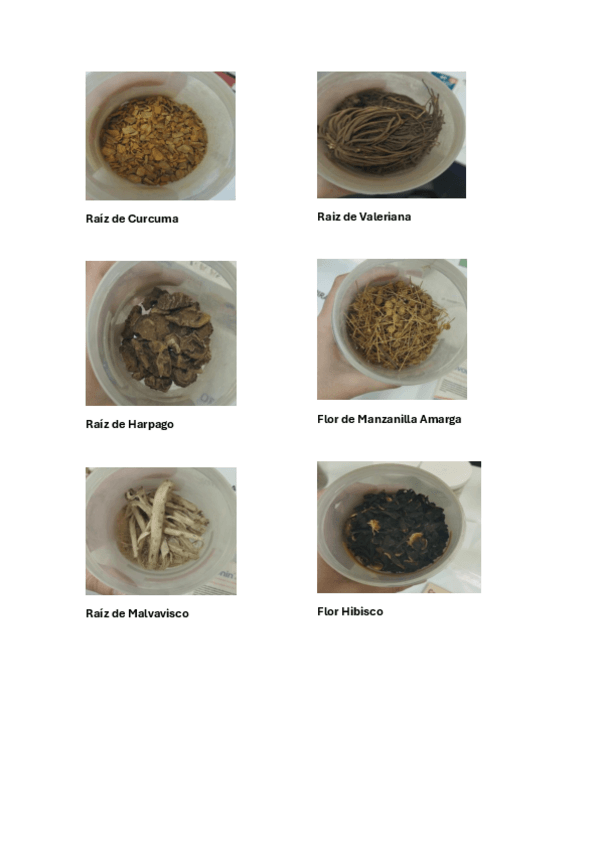 Miniatura del documento PRACTICAS-FITOTERAPIA.pdf