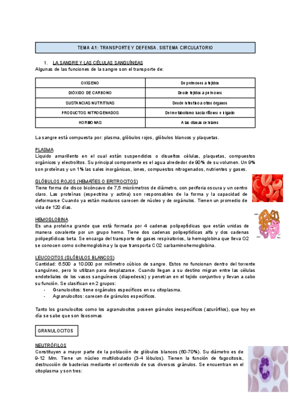 Miniatura del documento TEMA-4-3.pdf