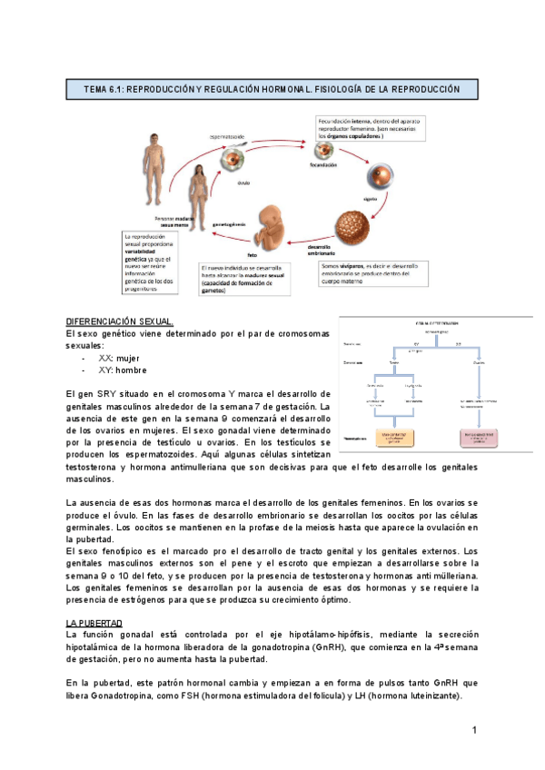 Miniatura del documento TEMA-6-1.pdf