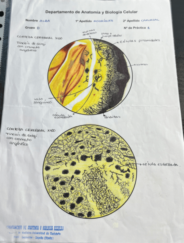 Miniatura del documento CUADERNO-PRACTICAS-PRIMER-PARCIAL BIOCEL.pdf