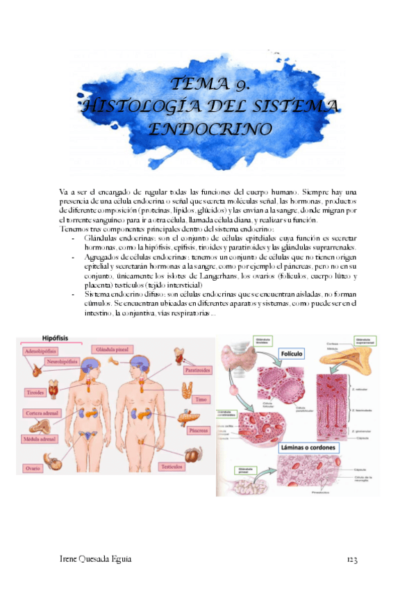 Miniatura del documento Histologia-sistema-endocrino.pdf