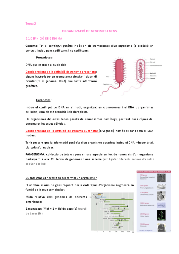 Miniatura del documento Tema-2-BMEB.pdf