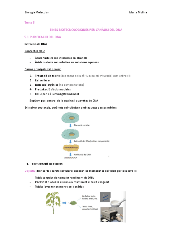 Miniatura del documento Tema-5-BMBE.pdf