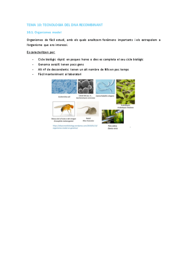 Miniatura del documento TEMA-10-BMBE.pdf