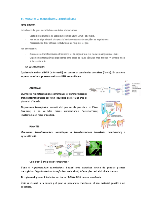 Miniatura del documento Tema-11-BMEB.pdf