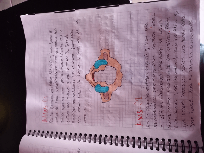 Miniatura del documento 17267712367931486909290604505729.jpg