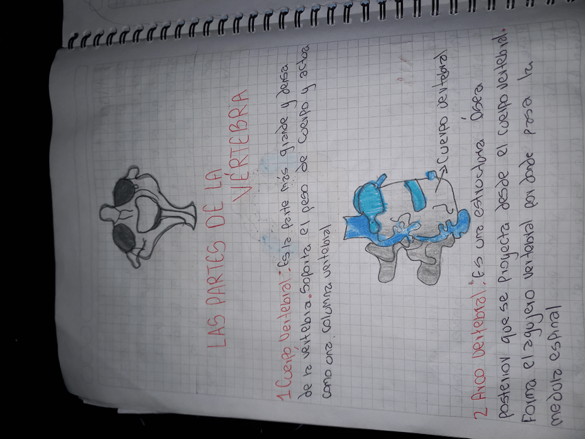 Miniatura del documento 17267712512047477036479145539008.jpg