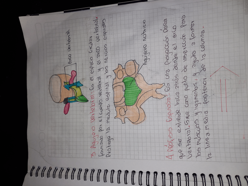 Miniatura del documento 17267712657076777979893376629074.jpg