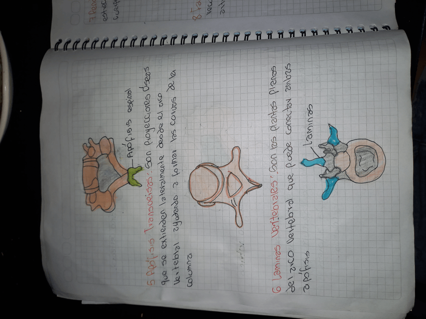 Miniatura del documento 1726771281648907642040809222062.jpg