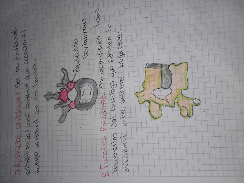 Miniatura del documento 17267712965581577521005441525610.jpg