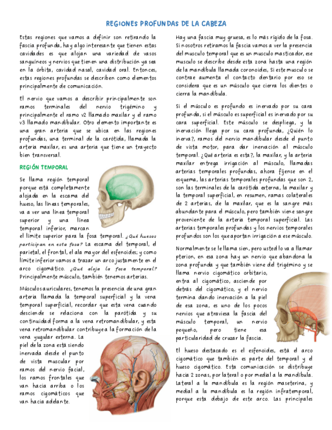 Miniatura del documento Clase-12-Regiones-profundas-de-la-cara.pdf