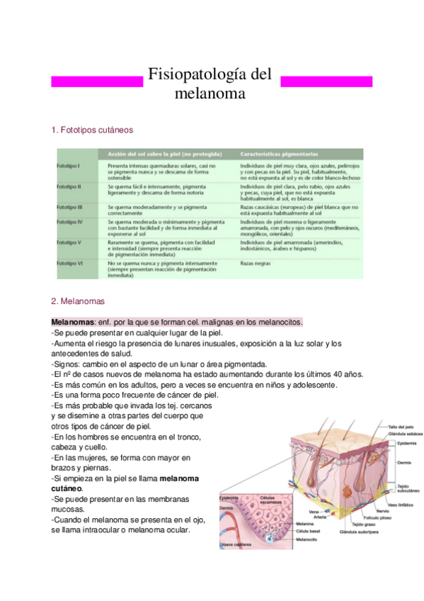 Miniatura del documento Resumen-T.9-Fisiopatologia-del-melanoma.pdf