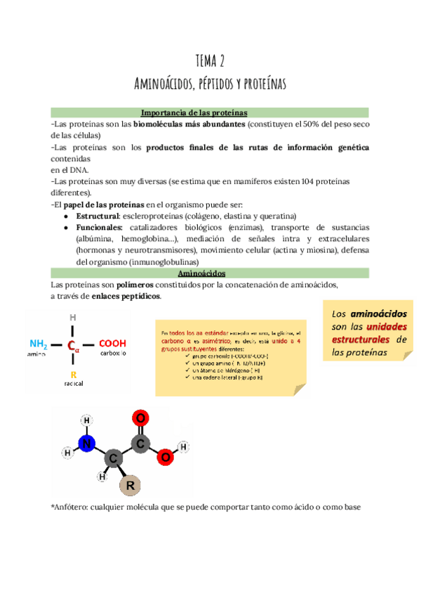 Miniatura del documento TEMA-2-Aminoacidos-peptidos-y-proteinas.pdf