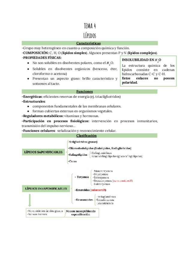 Miniatura del documento TEMA-4-Lipidos.pdf