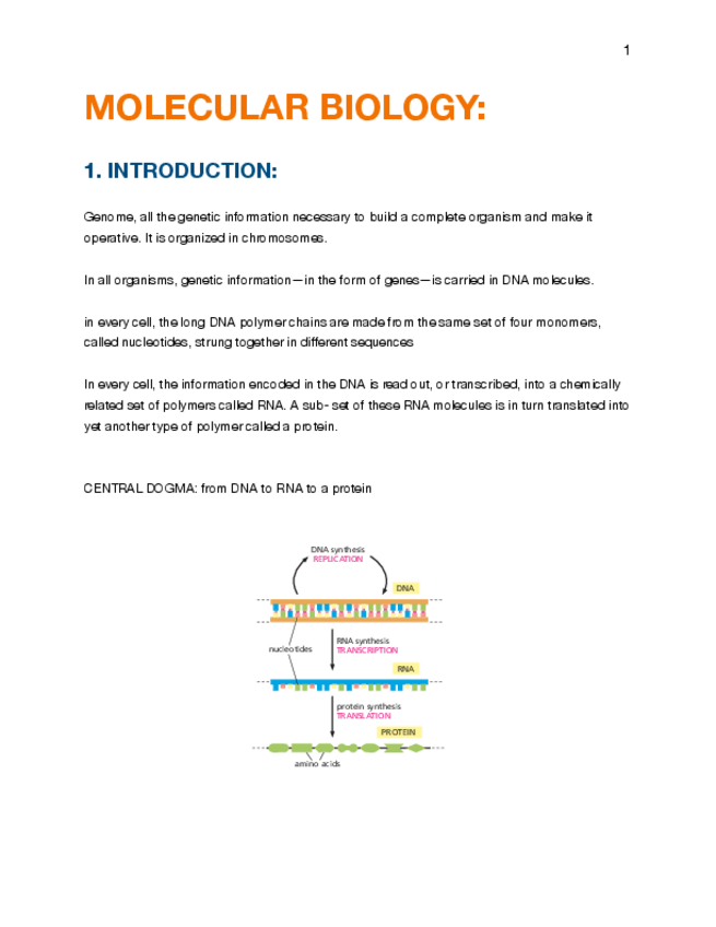Miniatura del documento summary-molecularBiology.pdf