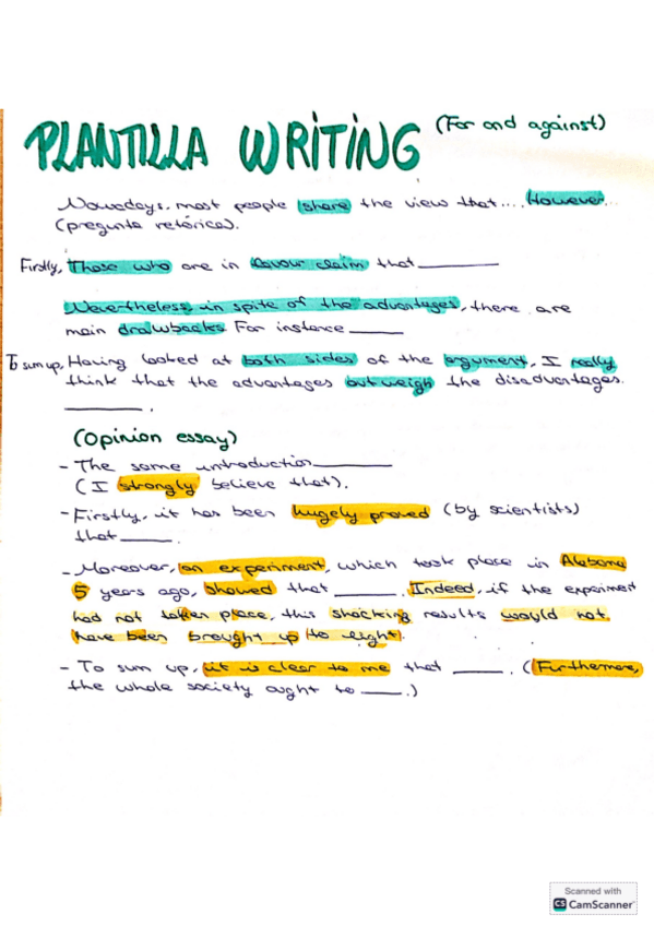 Miniatura del documento ESSAY-PLANTILLA.pdf