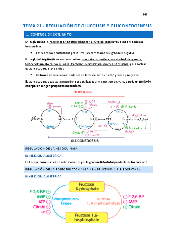 Miniatura del documento BIOQUIMICA-2.pdf