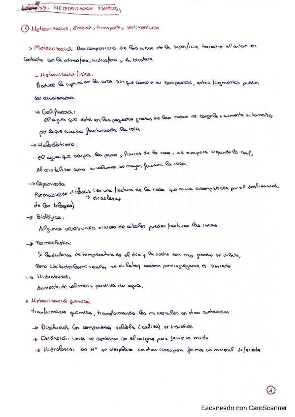 Miniatura del documento Tema-5-geologia.pdf