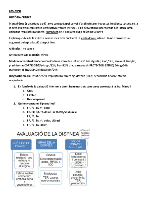 Miniatura del documento CAS-MPO-SIMULACIO.pdf