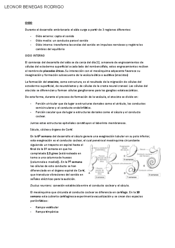 Miniatura del documento OIDO.pdf