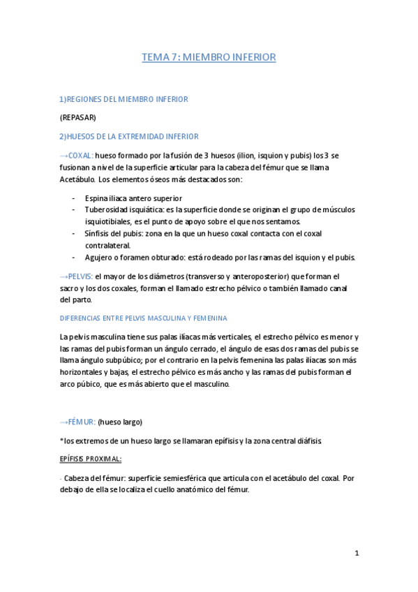 Miniatura del documento tema-7.pdf