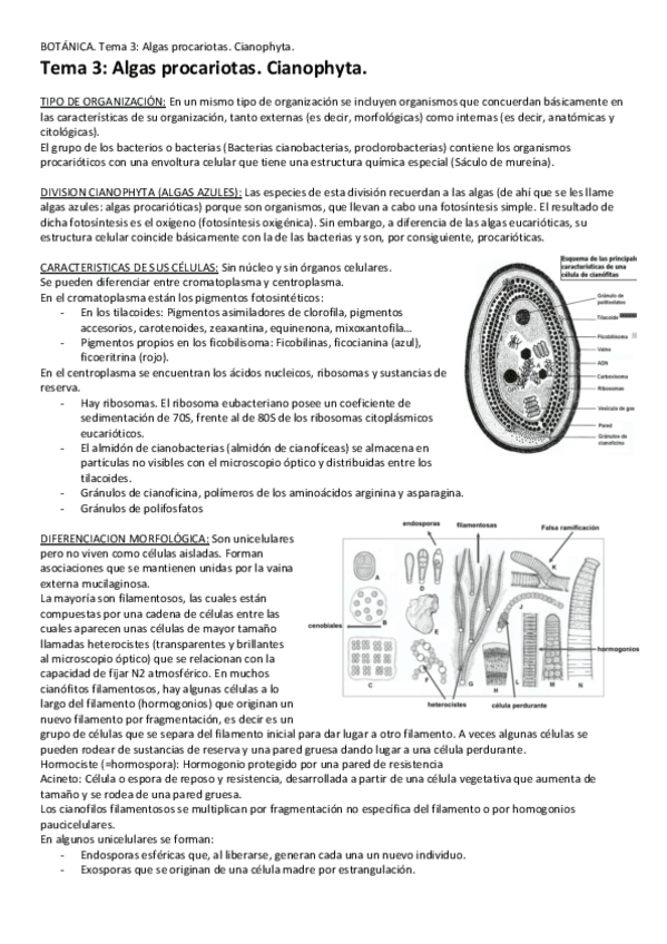 Miniatura del documento Tema-3-Algas-procariotas.pdf