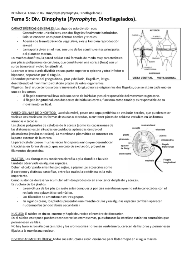 Miniatura del documento Tema-5-Div-Dinophyta.pdf