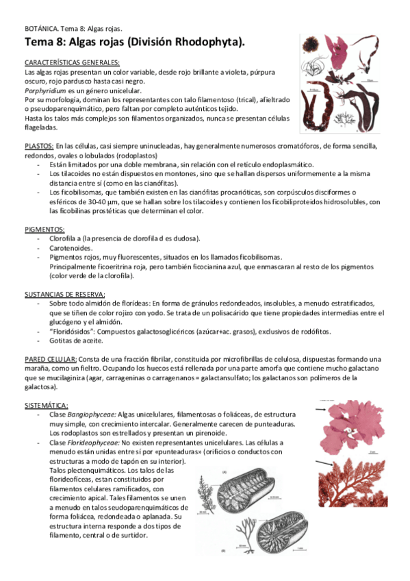 Miniatura del documento Tema-8-Algas-rojas.pdf