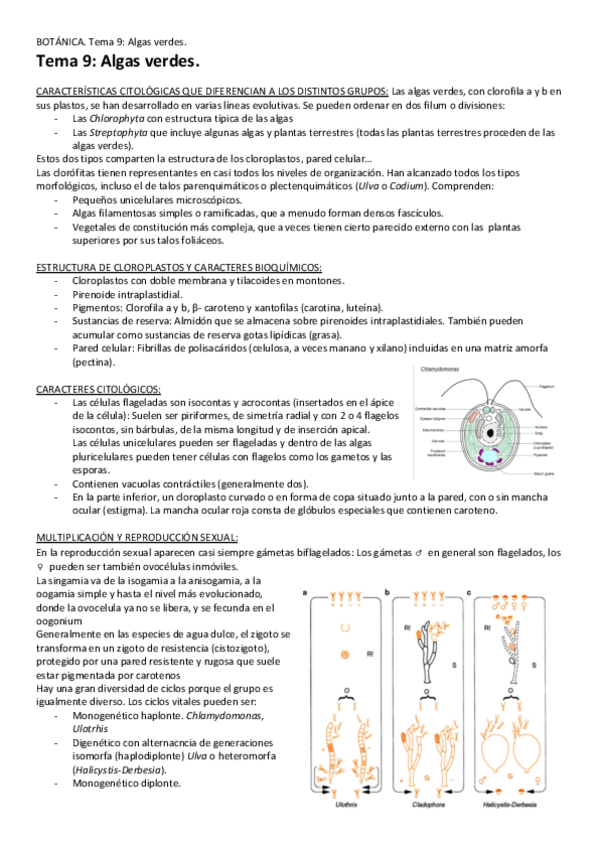 Miniatura del documento Tema-9-Algas-verdes.pdf