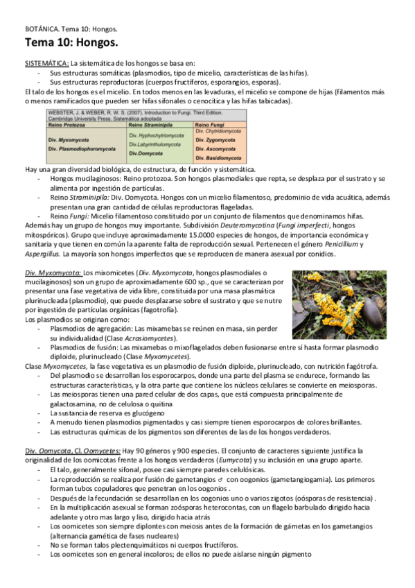 Miniatura del documento Tema-10-Hongos.pdf