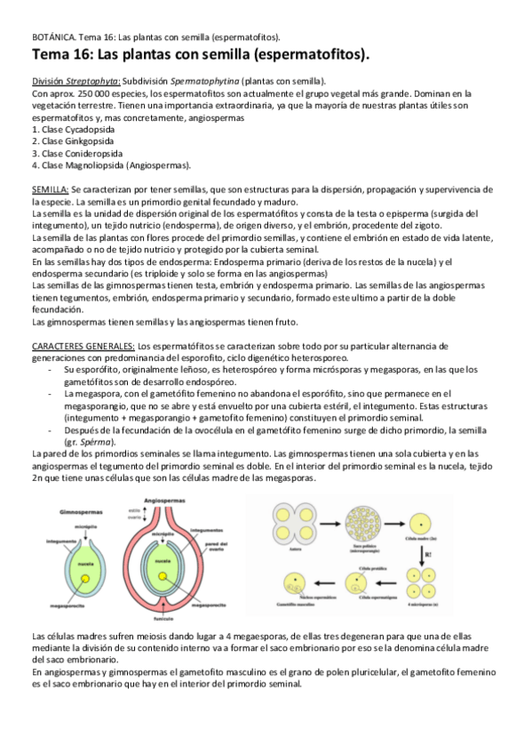 Miniatura del documento Tema-16-Plantas-con-semilla.pdf