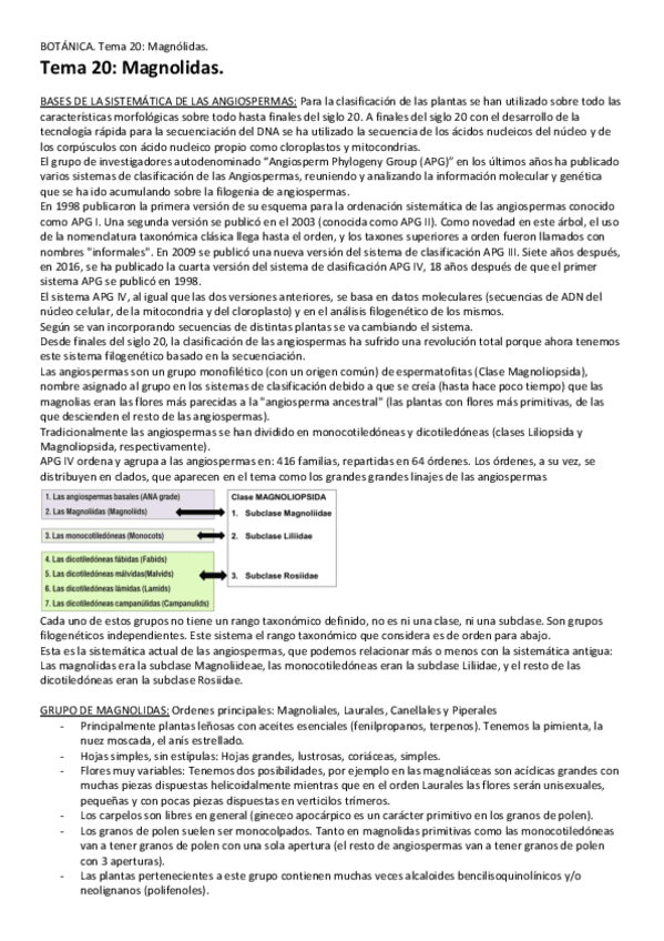 Miniatura del documento Tema-20-Magnolidas1.pdf