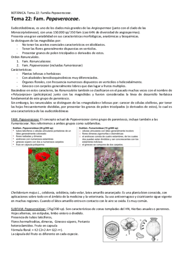 Miniatura del documento Tema-22-Fam-Papaveraceae.pdf