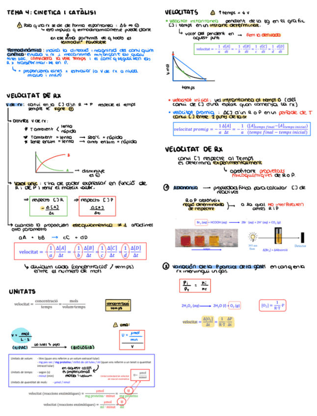 Miniatura del documento CINTETICA-I-CATALISI-RESUMIT.pdf
