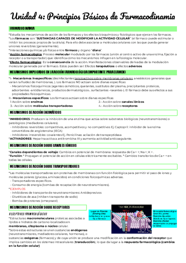 Miniatura del documento Unidad-4-Principios-Basicos-de-Farmacodinamia.pdf