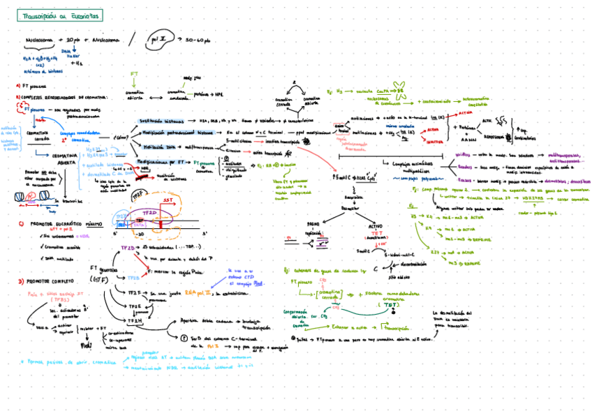 Miniatura del documento TEMA-4-ESQUEMAS-DE-ESTUDIO.pdf