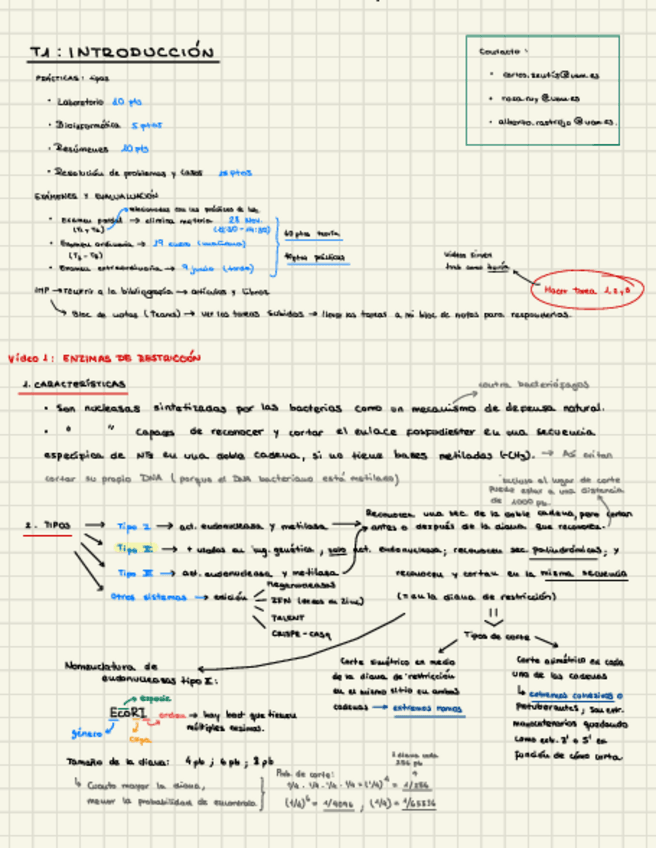 Miniatura del documento T1-INGENERIA-GENETICA.pdf