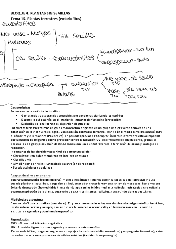 Miniatura del documento B4.-SIN-SEMILLAS.pdf