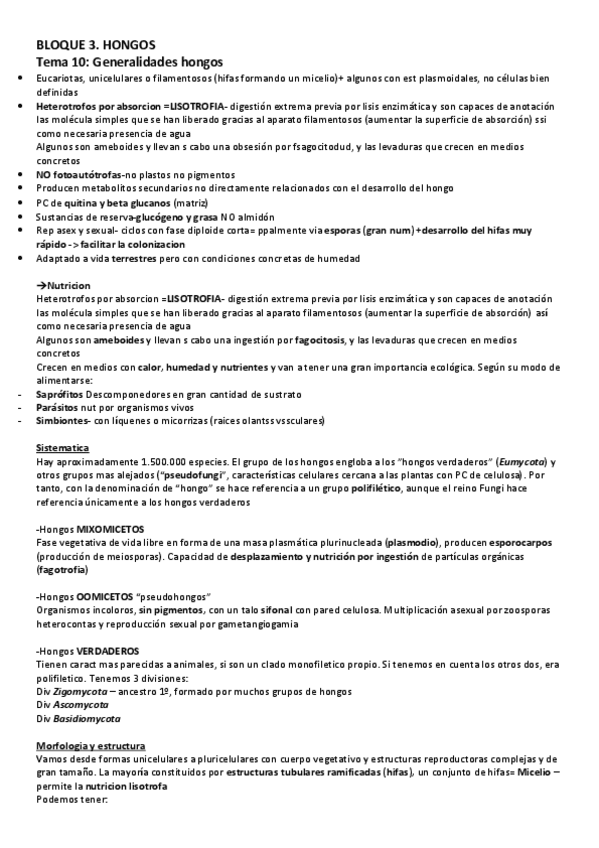 Miniatura del documento B3.HONGOS.pdf