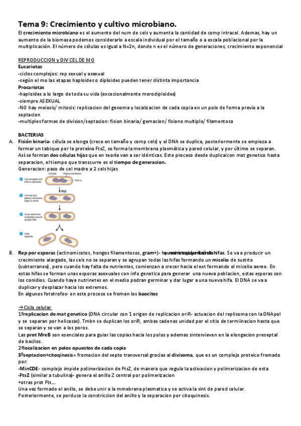 Miniatura del documento T9.CREC-Y-CULTIVO.pdf