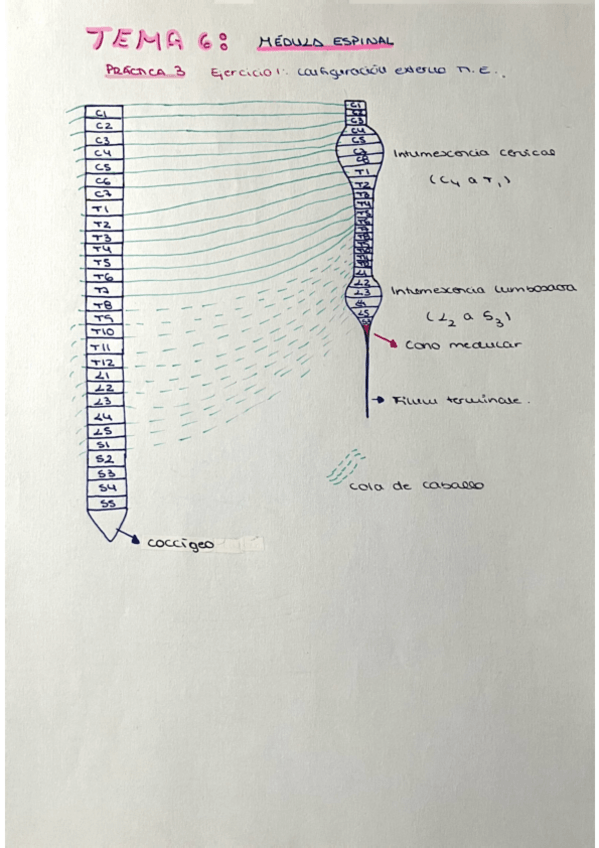 Miniatura del documento Pract3psicobio.pdf