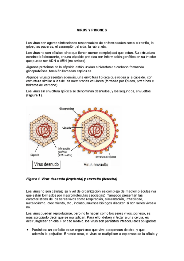 Miniatura del documento VIRUS-Y-PRIONES.pdf